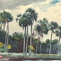Red Shirt, Homosassa, Florida Drawing by Winslow Homer Red Shirt, Homosassa, Florida Drawing by Winslow Homer