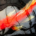 Solo Sumi Koi by Vicki Hone Smith