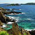 Hyeres, Giens, France, Mediterranean Sea, rocky coastline #4 by Severija Kirilovaite