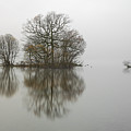 Loch Lomond Photograph by Grant Glendinning Loch Lomond Photograph by Grant Glendinning
