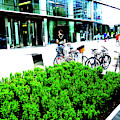 Plants In Front Of Office Buiulding In Warsaw, Poland by John Siest
