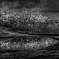 Untitled 4 Photograph by Doug Sturgess Untitled 4 Photograph by Doug Sturgess