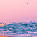 Delray Beach Florida Atlantic Ocean 4168 by Neptune Images