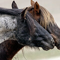 Blue and Lady #5 by John T Humphrey