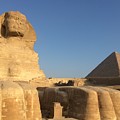 Great Sphinx Photograph by Trevor Grassi Great Sphinx Photograph by Trevor Grassi