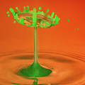 Water drop falling onto column of water Photograph by Steven Heap Water drop falling onto column of water Photograph by Steven Heap