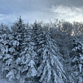 Winter Wonderland Photograph by Annamaria Frost Winter Wonderland Photograph by Annamaria Frost