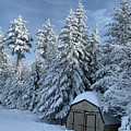 Winter Wonderland Photograph by Annamaria Frost Winter Wonderland Photograph by Annamaria Frost