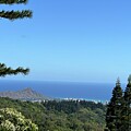 Honolulu Hawaii Diamond Head Panoramic View Amazing Landscape Ocean View Hotels 2024  #7 by John Shiron