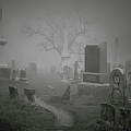 To Mikie's House by David Wennerberg