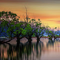 Glenorchy - Exhibited in Mexico City by Joana Kruse