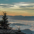 A Brighter Day Photograph by Marcy Wielfaert A Brighter Day Photograph by Marcy Wielfaert
