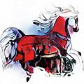 A Cantering Horse 005 Digital Art by Stacey Mayer A Cantering Horse 005 Digital Art by Stacey Mayer