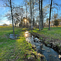 A Creek Runs Through It by Greg Lane
