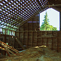 A majestic evergreen through the eyes of an old barn Photograph by Leslie Struxness A majestic evergreen through the eyes of an old barn Photograph by Leslie Struxness