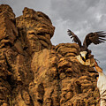 A man is trying to tame bald golden eagle against a rocky cliff and dramatic clouds by Arpan Bhatia