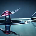 A Moment in a Water Drop's Life Photograph by Michael McKenney A Moment in a Water Drop's Life Photograph by Michael McKenney