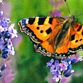 A New Adventure Painting by Espero Art A New Adventure Painting by Espero Art
