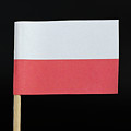 Flag of Poland Photograph by Vaclav Sonnek Flag of Poland Photograph by Vaclav Sonnek