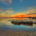 A Palette of Promise by Penny Polakoff