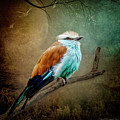 A Pause in Time Digital Art by Maggy Pease A Pause in Time Digital Art by Maggy Pease