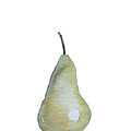 A Pear Painting by Luisa Millicent A Pear Painting by Luisa Millicent