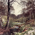 A Primrose Bank Near Dorking j5 Drawing by Historic Illustrations A Primrose Bank Near Dorking j5 Drawing by Historic Illustrations