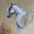 A Proud Mare by Melinda Hughes-Berland