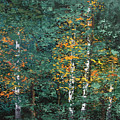 A Quiet Place Painting by Linda Bailey A Quiet Place Painting by Linda Bailey