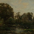 A River Landscape with Storks  Drawing by Charles Francois Daubigny French