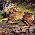 A Roe Deer In The Forest - Digital Remastered Edition by Rosa Bonheur A Roe Deer In The Forest - Digital Remastered Edition by Rosa Bonheur