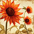 A Simple Crop of Sunflower by Freddy B