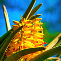 A study in yellow, green and blue - cactus flower near Phoenix AZ Photograph by Frank Lee A study in yellow, green and blue - cactus flower near Phoenix AZ Photograph by Frank Lee