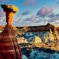 A Toadstool Sunset Photograph by Bradley Morris A Toadstool Sunset Photograph by Bradley Morris