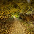 A True Autumn Day Photograph by Laura Putman A True Autumn Day Photograph by Laura Putman
