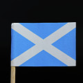 Flag of Scotland Photograph by Vaclav Sonnek Flag of Scotland Photograph by Vaclav Sonnek