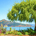 A View to Angel Island by Bonnie Follett