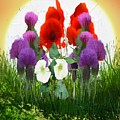 A Weed Is But An Unloved Flower by Mark Taylor