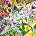 A Whirl of Orchids Painting by Merana Cadorette A Whirl of Orchids Painting by Merana Cadorette