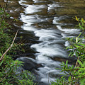 Abrams Creek 2 Photograph by Phil Perkins Abrams Creek 2 Photograph by Phil Perkins