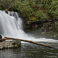 Abrams Falls 13 Photograph by Phil Perkins Abrams Falls 13 Photograph by Phil Perkins