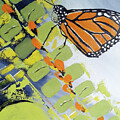 Abstract Butterfly by Tracey Lee Cassin
