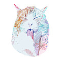 Abstract Colorful Cat by Trindira A Abstract Colorful Cat by Trindira A