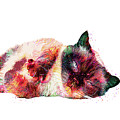 Abstract Lazy Cat by Trindira A Abstract Lazy Cat by Trindira A