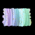 Abstract Pastel Wavy  by Fitri Apriliyani
