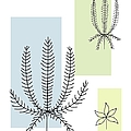 Abstract Plants Pastel 1 Digital Art by Donna Mibus Abstract Plants Pastel 1 Digital Art by Donna Mibus