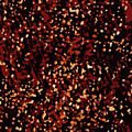 Abstract Print Digital Art by Sand And Chi Abstract Print Digital Art by Sand And Chi