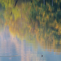 Abstract Reflection by Ken Dietz