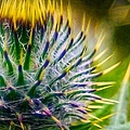 Abstract With Thistle or Vice Versa Mixed Media by Call Me Abbie - Abbie Shores