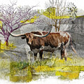 Abstraction of Longhorn Steer on Rural Farm by Randall Nyhof